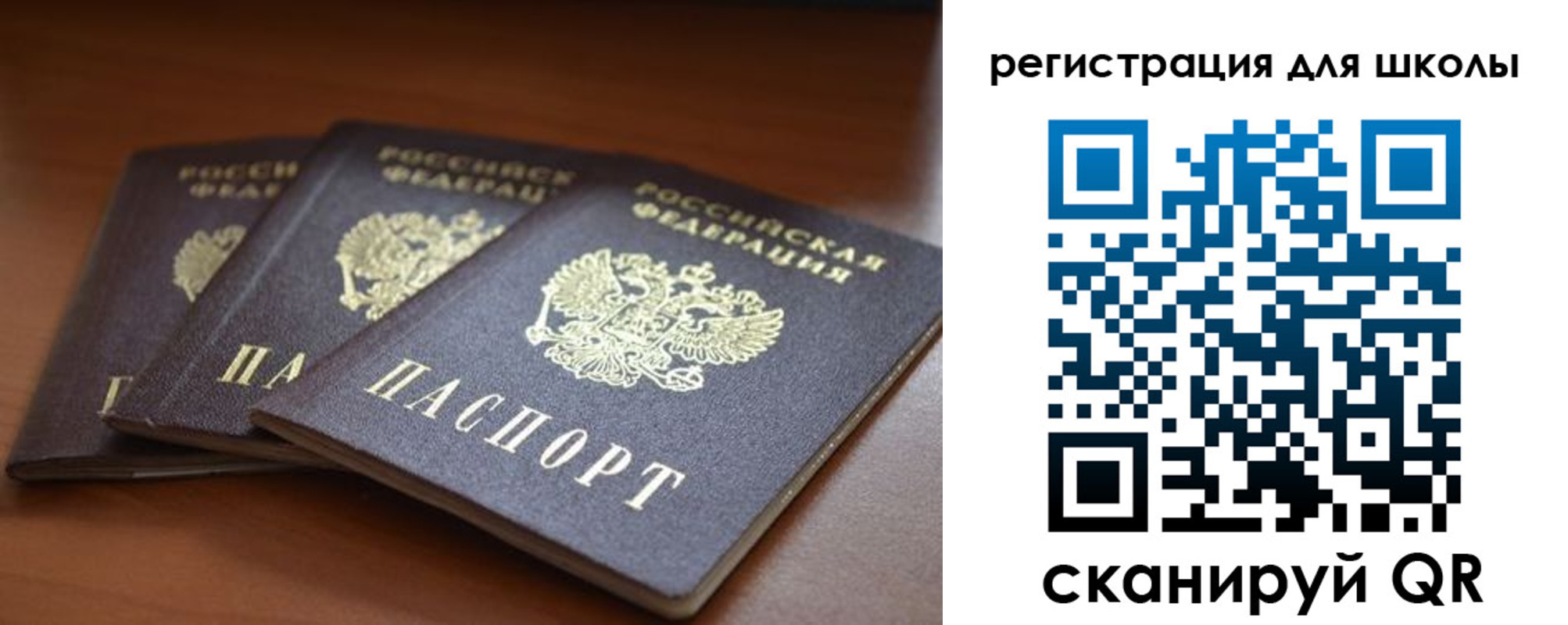прописка для школы в Михайловке